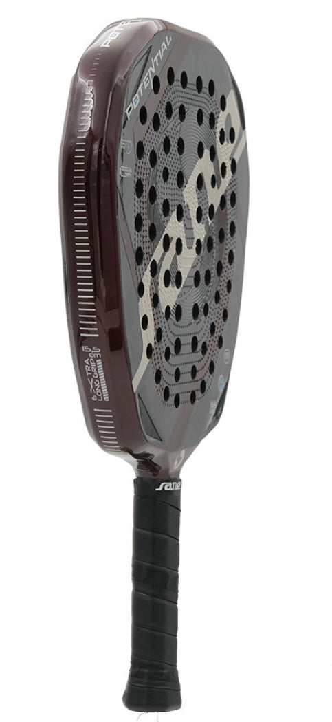 POTENTIAL PROFESSIONAL